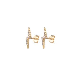 Silver plated earrings 5609232442647