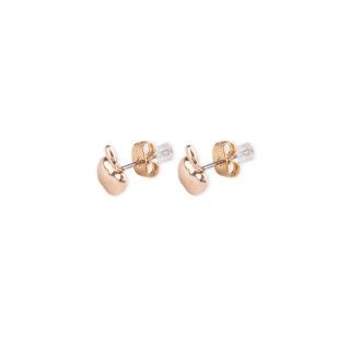 Brass apple earrings 5600499111086