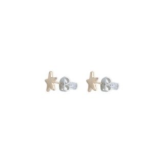 Golden star brass earrings 5600499166994