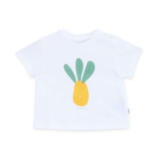 T-shirt manga curta bebé algodão Salada 5609232453865