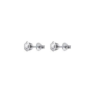 Shiny silver earrings 5609232584361