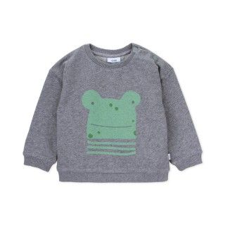 Sweatshirt Frog 5609232533550