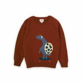 Turtle Skater knitted sweater for boy 5609232791707