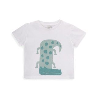 Alligator T-shirt for boys in cotton 5609232823248