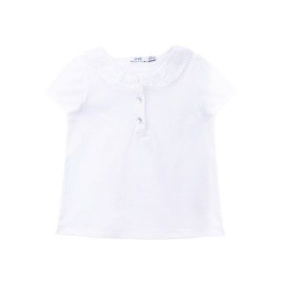 Basic Polo Basic Polo