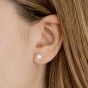 Sterling Silver White Shell Pearl Earrings