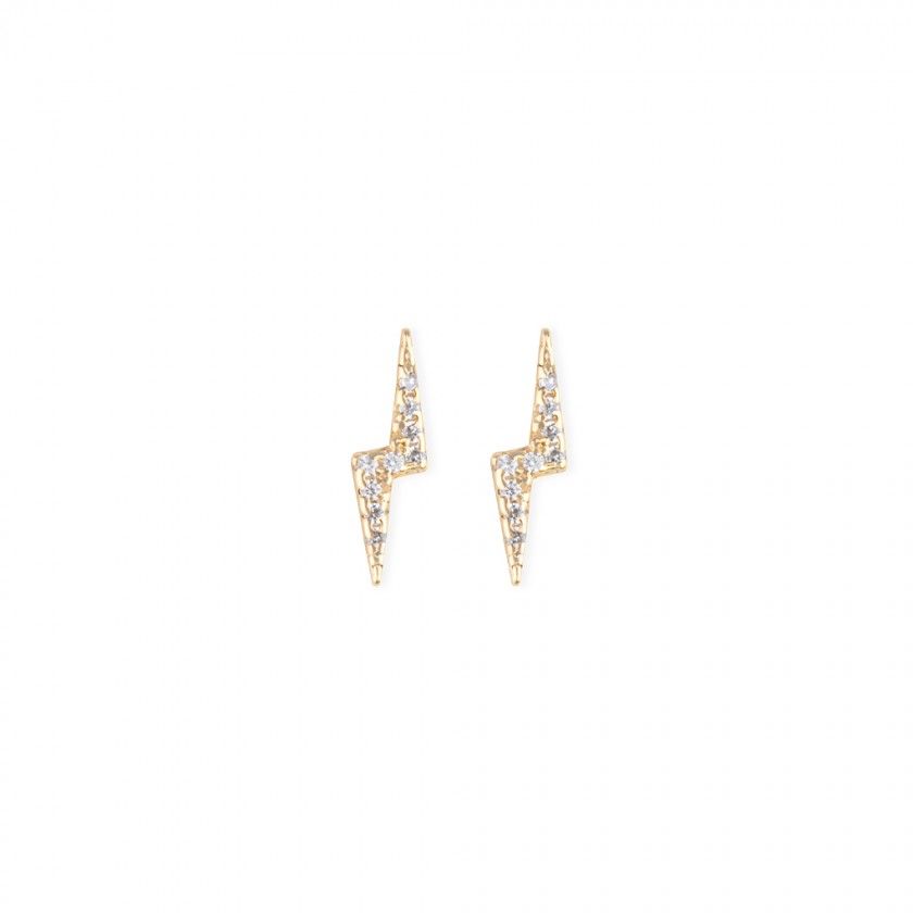 Silver plated earrings