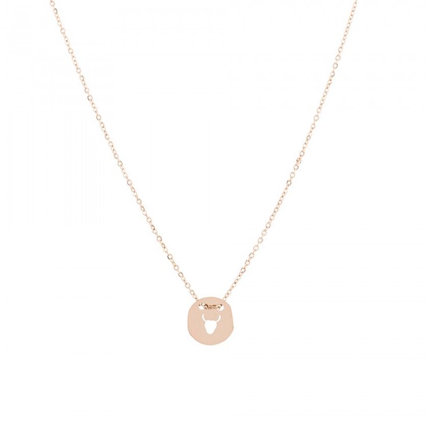 Stainless steel taurus gold necklace
