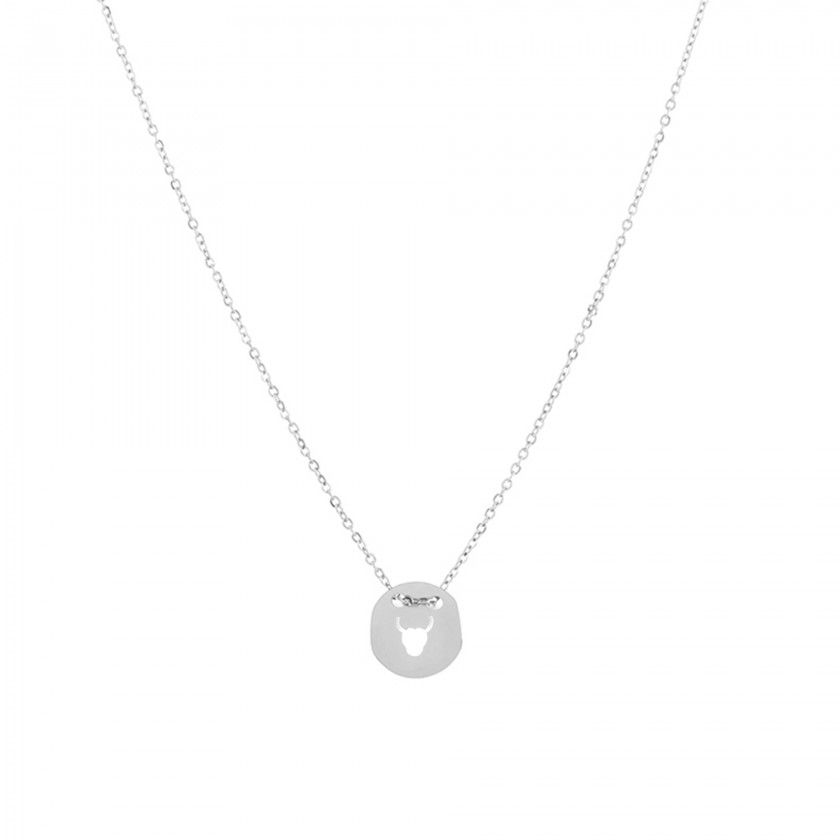 Stainless steel taurus silver necklace