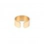 Large gold steel ring