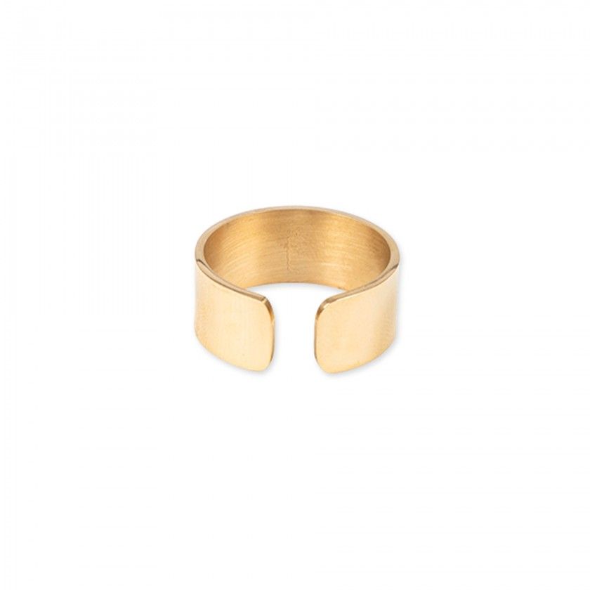 Large gold steel ring