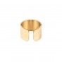Large gold steel ring