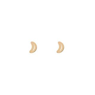 Brincos aço meia lua dourado Brincos aço meia lua dourado
