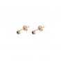 Golden earrings with stainless steel stone