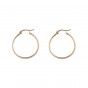 Golden hoop earrings in stainless steel