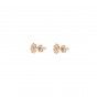 Golden rudder brass earrings