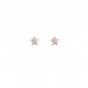 Bright star brass earrings