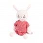 Bella the bunny soft toy