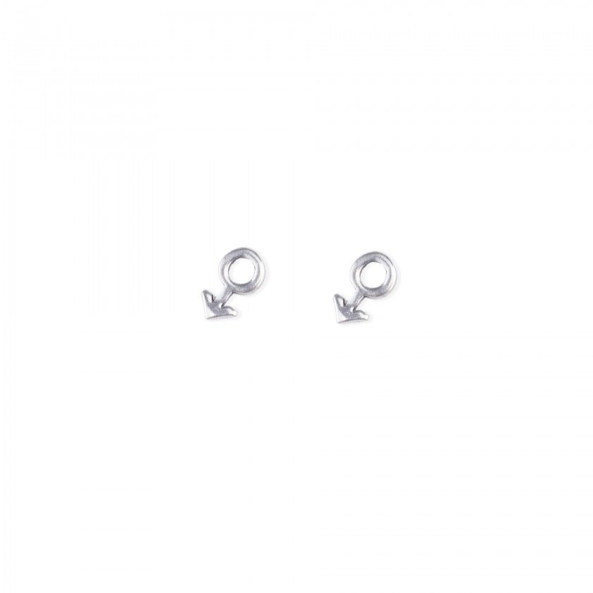 Brass earrings male symbol