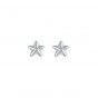 Brass starfish earrings
