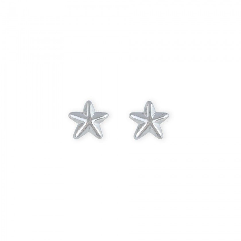 Brass starfish earrings