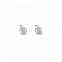 Silver apple brass earrings