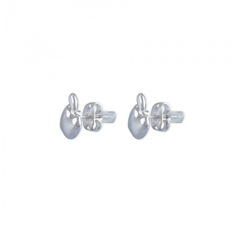 Silver apple brass earrings