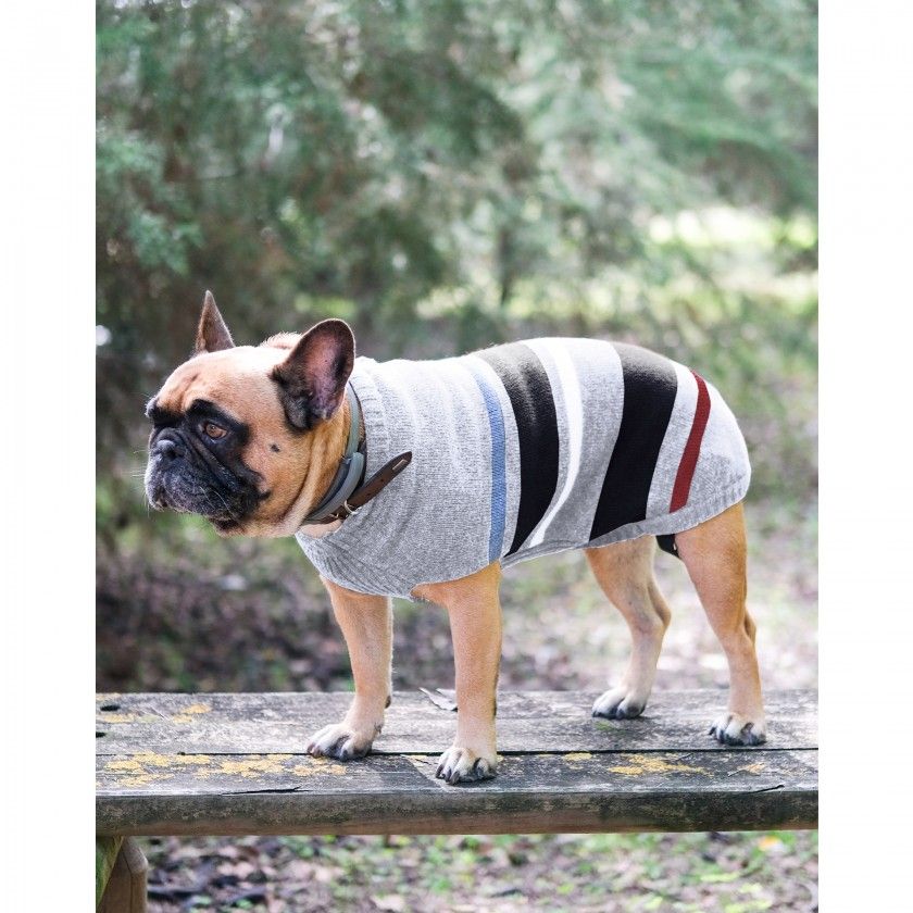 Dog"s sweater Sam