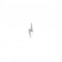 Silver earring ray