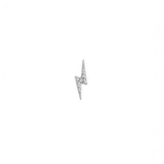 Silver earring ray