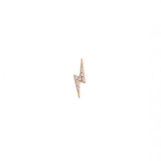 Silver earring ray