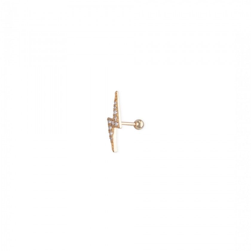 Silver earring ray