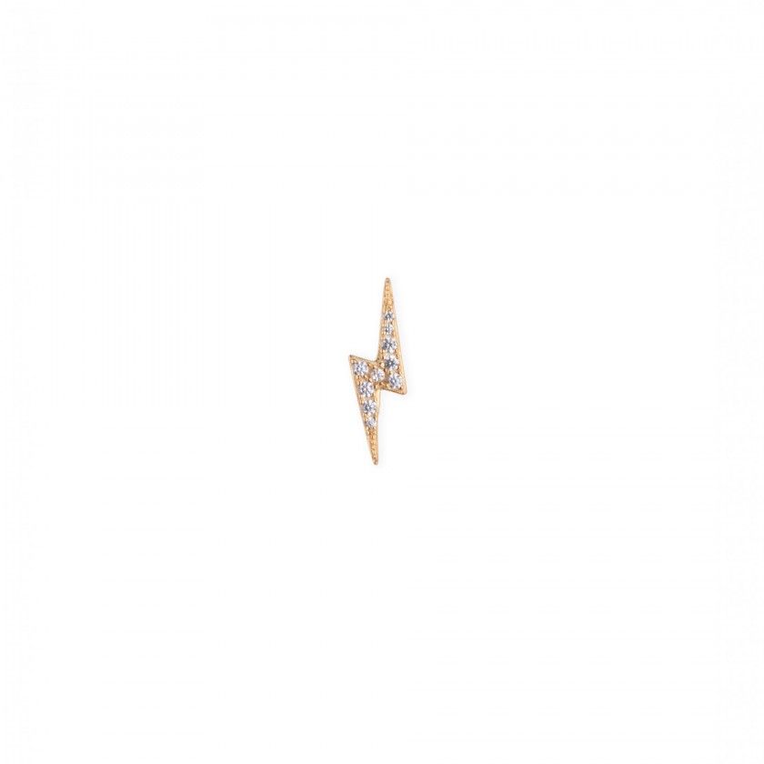Silver earring ray