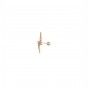 Silver earring ray
