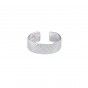 Standard steel ring