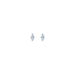 Shiny oval silver earrings
