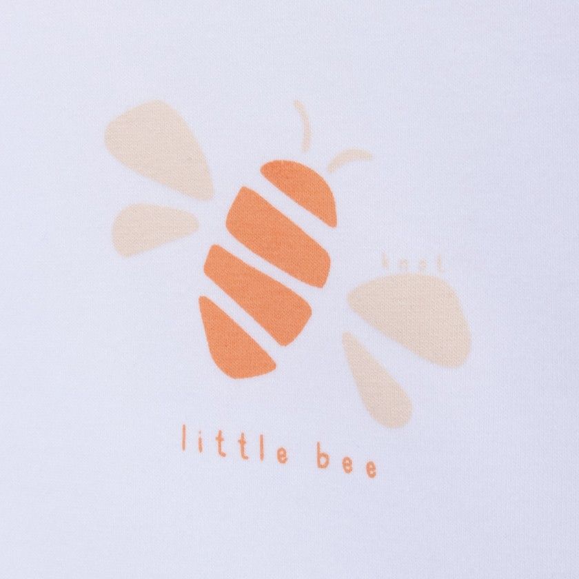 Body Little Bee