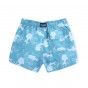 Parker swim shorts