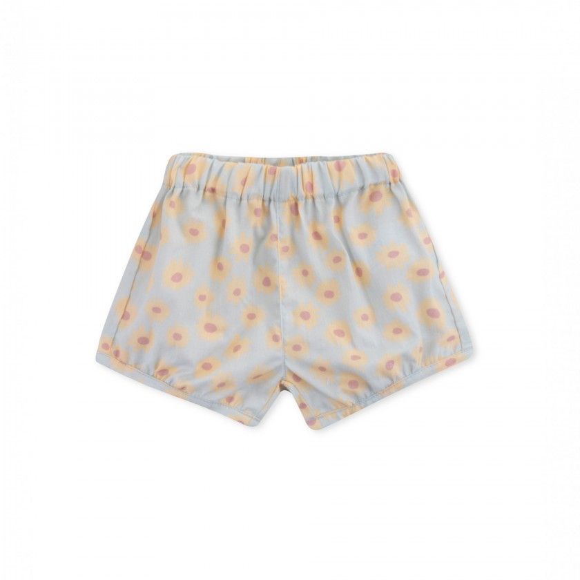 Cales Daisy