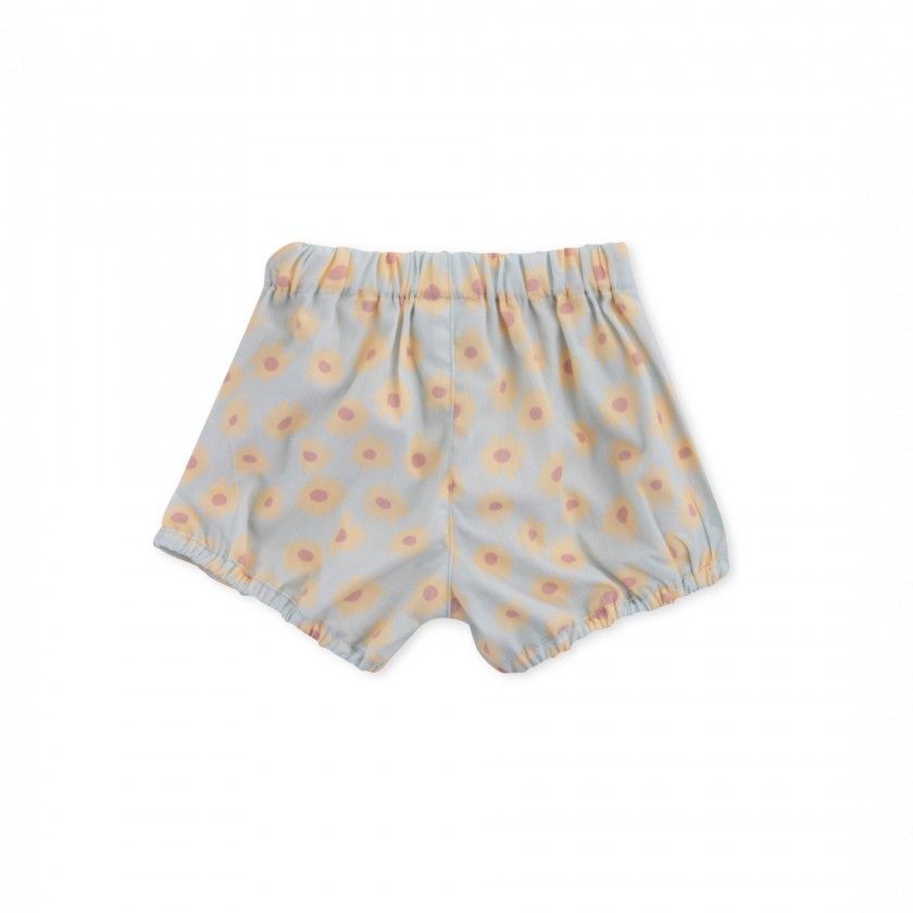 Cales Daisy