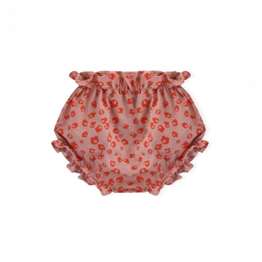Cales Summer Flowers
