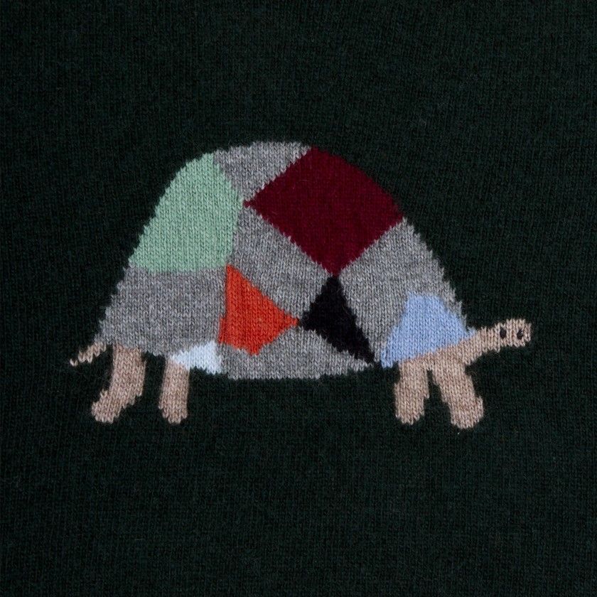 Turtle knitted sweater