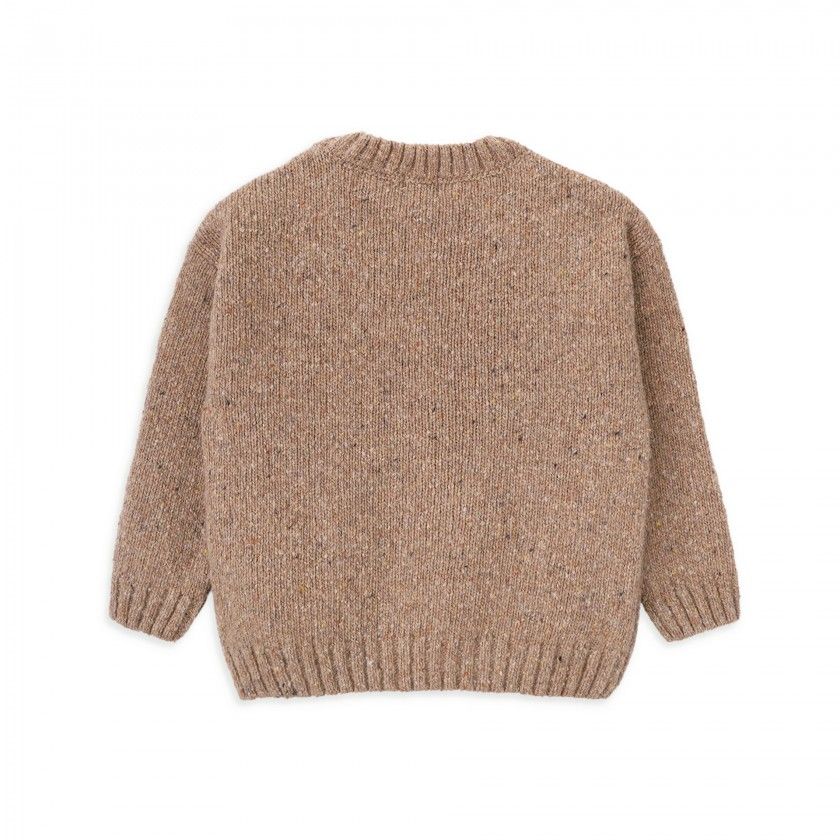 Woods wool sweater for boys