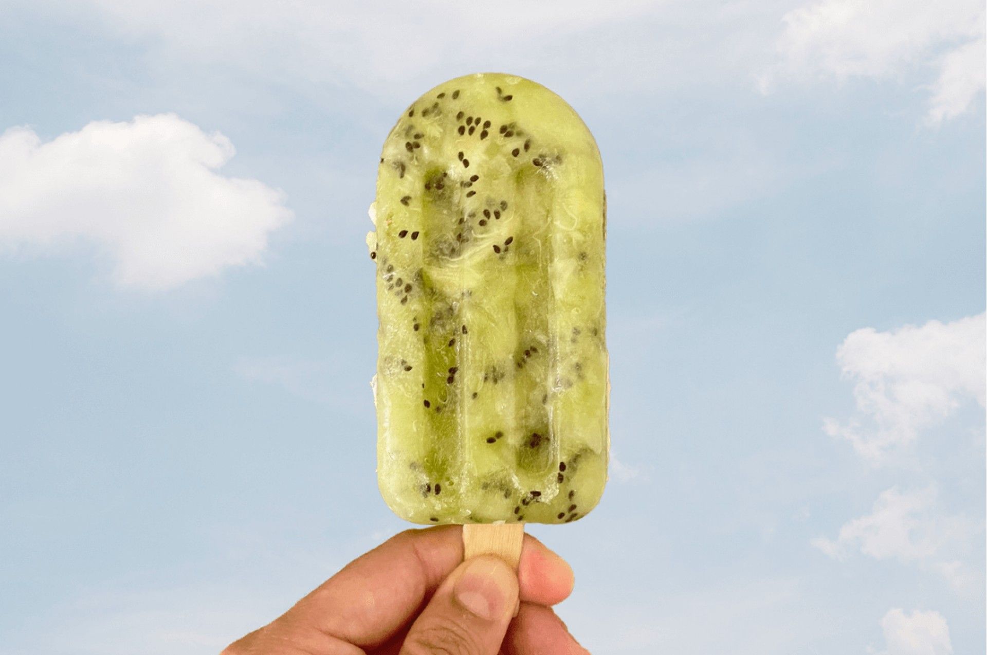 Gelados de Fruta Caseiros