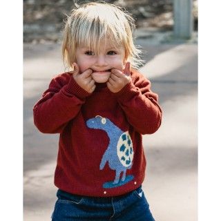 Turtle Skater knitted sweater for boy