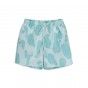 Chase Swimshorts for man