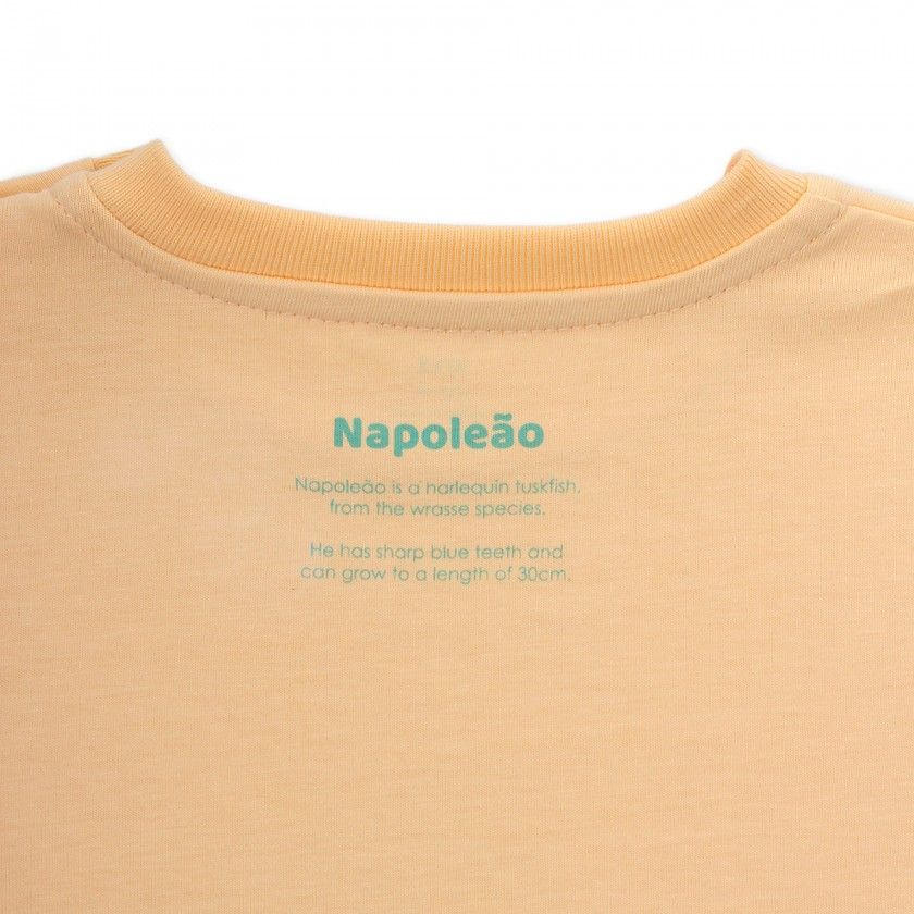 Harlequin Turkfish t-shirt